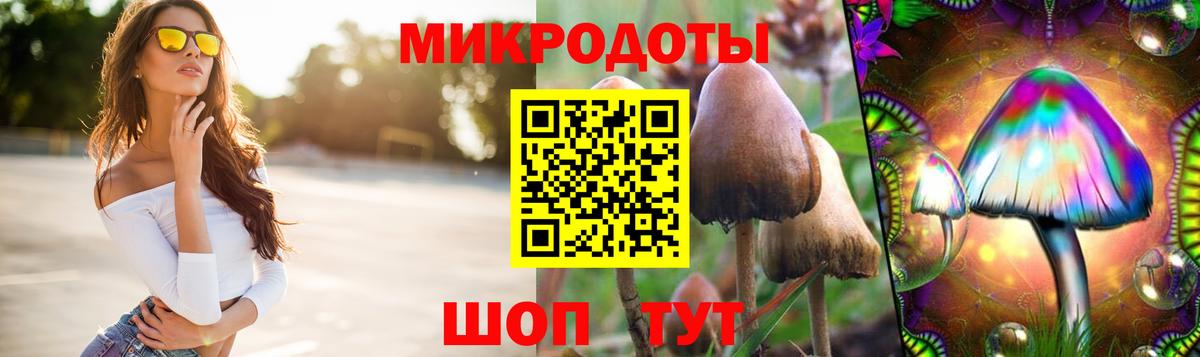 Галлюциногенные грибы прущие грибы Алексеевка