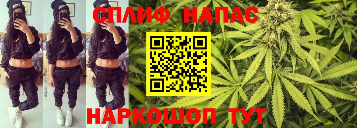 Бошки Шишки семена Алексеевка